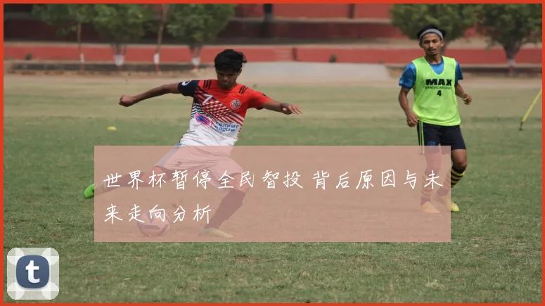 世界杯暂停全民智投 背后原因与未来走向分析