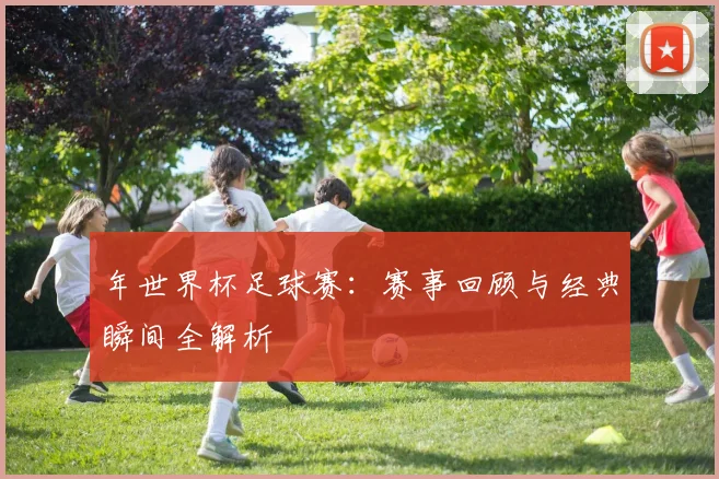 年世界杯足球赛：赛事回顾与经典瞬间全解析
