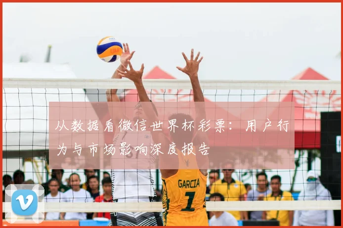 从数据看微信世界杯彩票：用户行为与市场影响深度报告