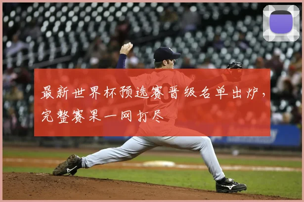 最新世界杯预选赛晋级名单出炉,完整赛果一网打尽