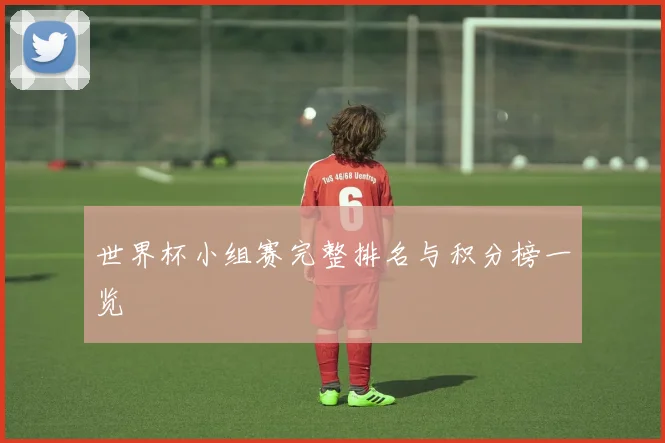 世界杯小组赛完整排名与积分榜一览